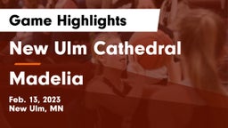 New Ulm Cathedral  vs Madelia  Game Highlights - Feb. 13, 2023