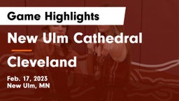 New Ulm Cathedral  vs Cleveland  Game Highlights - Feb. 17, 2023