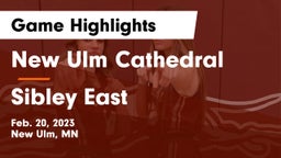 New Ulm Cathedral  vs Sibley East  Game Highlights - Feb. 20, 2023