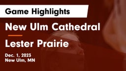 New Ulm Cathedral  vs Lester Prairie  Game Highlights - Dec. 1, 2023