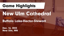New Ulm Cathedral  vs Buffalo Lake-Hector-Stewart  Game Highlights - Dec. 16, 2023