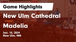 New Ulm Cathedral  vs Madelia  Game Highlights - Jan. 15, 2024