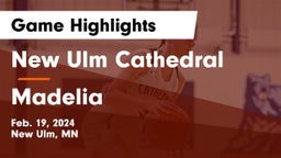 New Ulm Cathedral  vs Madelia  Game Highlights - Feb. 19, 2024
