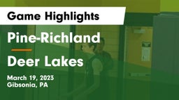 Pine-Richland  vs Deer Lakes  Game Highlights - March 19, 2023