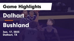 Dalhart  vs Bushland  Game Highlights - Jan. 17, 2023