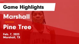 Marshall  vs Pine Tree  Game Highlights - Feb. 7, 2023
