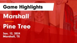 Marshall  vs Pine Tree  Game Highlights - Jan. 12, 2024