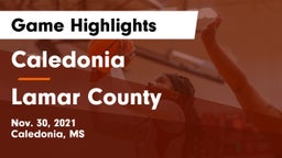 Caledonia  vs Lamar County Game Highlights - Nov. 30, 2021