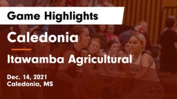 Caledonia  vs Itawamba Agricultural  Game Highlights - Dec. 14, 2021