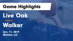 Live Oak  vs Walker  Game Highlights - Jan. 11, 2019