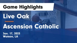 Live Oak  vs Ascension Catholic  Game Highlights - Jan. 17, 2023