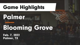 Palmer  vs Blooming Grove Game Highlights - Feb. 7, 2022
