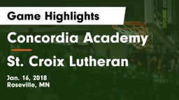 Concordia Academy vs St. Croix Lutheran  Game Highlights - Jan. 16, 2018