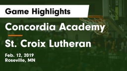 Concordia Academy vs St. Croix Lutheran  Game Highlights - Feb. 12, 2019