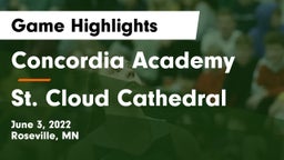 Concordia Academy vs St. Cloud Cathedral  Game Highlights - June 3, 2022