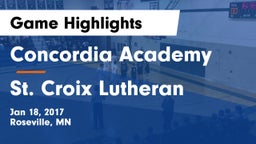 Concordia Academy vs St. Croix Lutheran  Game Highlights - Jan 18, 2017
