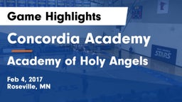 Concordia Academy vs Academy of Holy Angels  Game Highlights - Feb 4, 2017