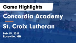 Concordia Academy vs St. Croix Lutheran  Game Highlights - Feb 15, 2017