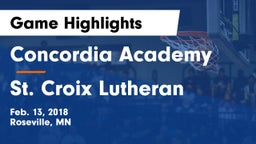 Concordia Academy vs St. Croix Lutheran  Game Highlights - Feb. 13, 2018