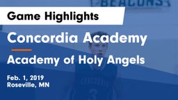 Concordia Academy vs Academy of Holy Angels  Game Highlights - Feb. 1, 2019