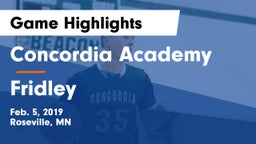 Concordia Academy vs Fridley  Game Highlights - Feb. 5, 2019