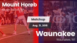 Matchup: Mount Horeb High vs. Waunakee  2018