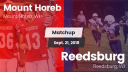 Matchup: Mount Horeb High vs. Reedsburg 2018