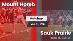 Matchup: Mount Horeb High vs. Sauk Prairie  2018