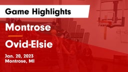 Montrose  vs Ovid-Elsie  Game Highlights - Jan. 20, 2023