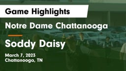 Notre Dame Chattanooga vs Soddy Daisy  Game Highlights - March 7, 2023