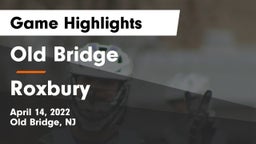 Old Bridge  vs Roxbury  Game Highlights - April 14, 2022