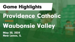 Providence Catholic  vs Waubonsie Valley  Game Highlights - May 20, 2024
