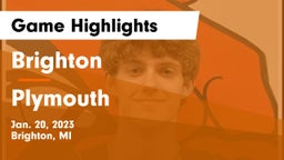 Brighton  vs Plymouth  Game Highlights - Jan. 20, 2023