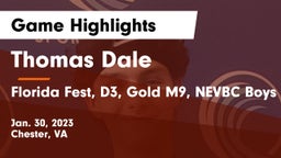 Thomas Dale  vs Florida Fest, D3, Gold M9, NEVBC Boys 16s Open Game Highlights - Jan. 30, 2023