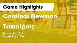 Cardinal Newman  vs Tamalpais  Game Highlights - March 21, 2023