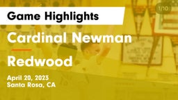 Cardinal Newman  vs Redwood  Game Highlights - April 20, 2023