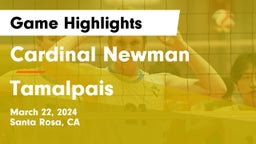Cardinal Newman  vs Tamalpais  Game Highlights - March 22, 2024