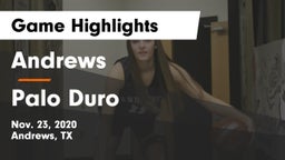 Andrews  vs Palo Duro  Game Highlights - Nov. 23, 2020