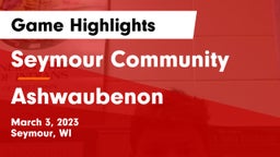 Seymour Community  vs Ashwaubenon  Game Highlights - March 3, 2023