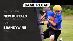 Recap: New Buffalo  vs. Brandywine  2016