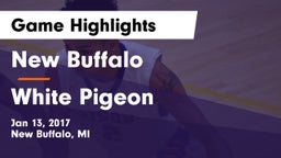 New Buffalo  vs White Pigeon  Game Highlights - Jan 13, 2017