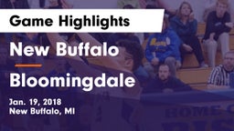 New Buffalo  vs Bloomingdale  Game Highlights - Jan. 19, 2018