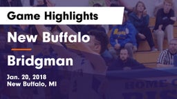 New Buffalo  vs Bridgman  Game Highlights - Jan. 20, 2018