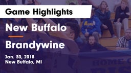 New Buffalo  vs Brandywine  Game Highlights - Jan. 30, 2018