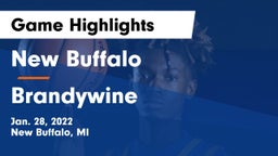 New Buffalo  vs Brandywine  Game Highlights - Jan. 28, 2022