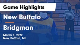 New Buffalo  vs Bridgman  Game Highlights - March 3, 2022