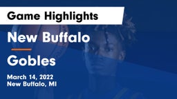 New Buffalo  vs Gobles  Game Highlights - March 14, 2022