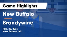 New Buffalo  vs Brandywine  Game Highlights - Feb. 20, 2023