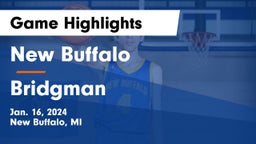 New Buffalo  vs Bridgman  Game Highlights - Jan. 16, 2024