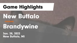 New Buffalo  vs Brandywine  Game Highlights - Jan. 28, 2022